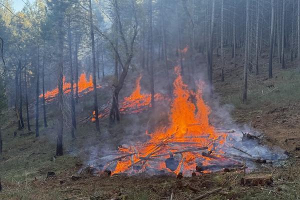 FROM RECOVERY TO RESILIENCE: AFTER THE CALDOR FIRE